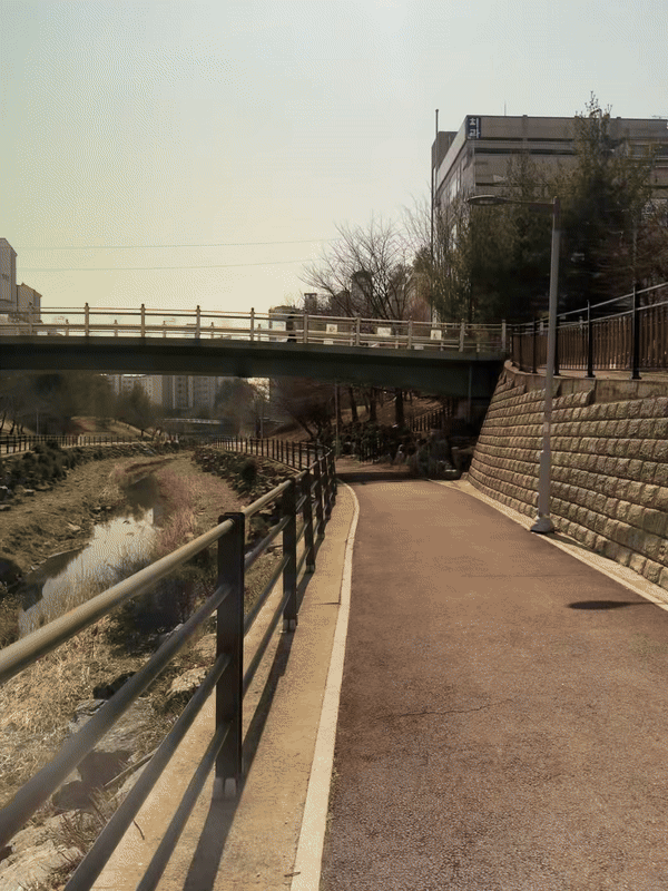 선명한 화질 실사.gif